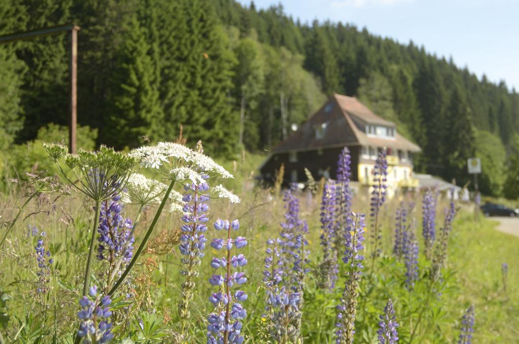 Gasthaus Hotel Loeffelschmiede Feldberg  Zewnętrze zdjęcie