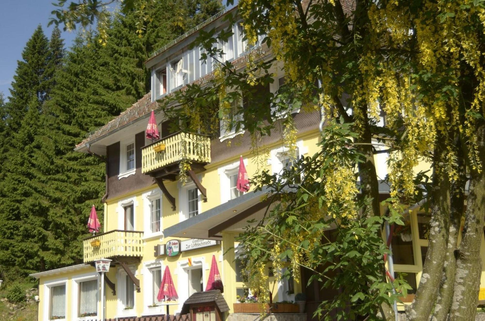 Gasthaus Hotel Loeffelschmiede Feldberg  Zewnętrze zdjęcie